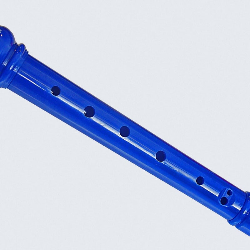 Farcaya Soprano 2 Recorder Instruments for Beginners German Style C Key 8 Hole Descant Music with Clean Rod 2 Storage Cases (Red +Blue) - Image 4